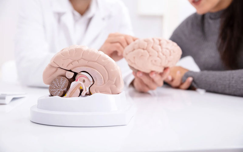 Comprehensive Neurology Care in Dubai
