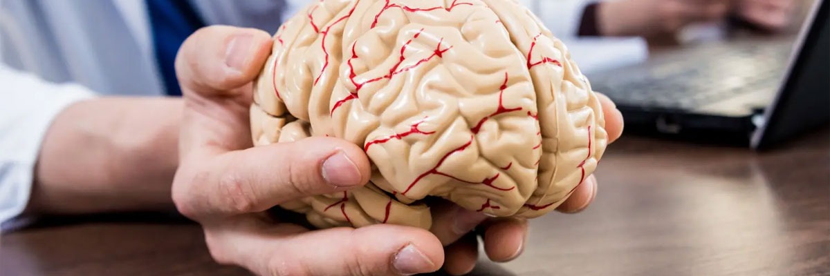 Seizure Disorders
